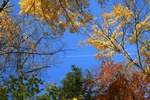 Gatineau Park, October 17, 2009