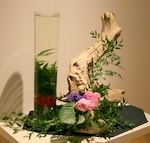 056.jpg 056.jpg