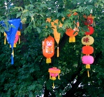 096.jpg 096.jpg