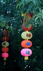 099.jpg 099.jpg