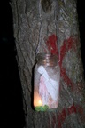 199.jpg 199.jpg