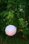 210.jpg 210.jpg