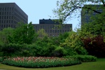 img_6656.jpg img_6656.jpg