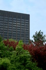 img_6666.jpg img_6666.jpg