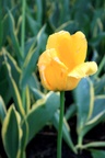 img_6686.jpg img_6686.jpg