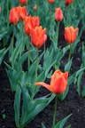 img_6728.jpg img_6728.jpg