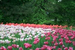 img_6761.jpg img_6761.jpg