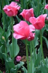 img_6787.jpg img_6787.jpg