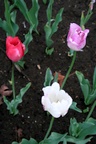 img_6802.jpg img_6802.jpg