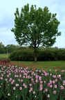 img_6805.jpg img_6805.jpg