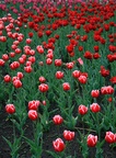 img_6822.jpg img_6822.jpg