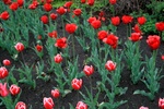 img_6825.jpg img_6825.jpg
