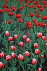 img_6830.jpg img_6830.jpg