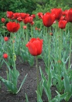 img_6836.jpg img_6836.jpg