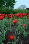 img_6837.jpg img_6837.jpg