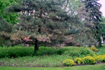 img_6860.jpg img_6860.jpg