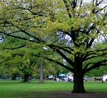 img_6861.jpg img_6861.jpg