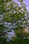 img_6864.jpg img_6864.jpg
