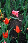 img_6884.jpg img_6884.jpg