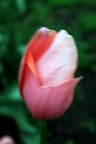 img_6924.jpg img_6924.jpg