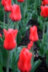 img_6947.jpg img_6947.jpg