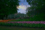 img_6976.jpg img_6976.jpg
