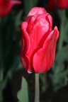 img_6991.jpg img_6991.jpg