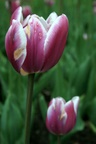 img_7220.jpg img_7220.jpg