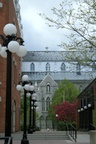 img_7235.jpg img_7235.jpg