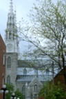 img_7238.jpg img_7238.jpg