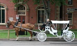 2245.jpg 2245.jpg