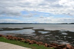 2446.jpg 2446.jpg