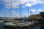 2646.jpg 2646.jpg