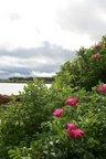 2694.jpg 2694.jpg