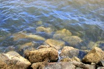 2695.jpg 2695.jpg