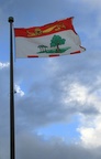 2766.jpg 2766.jpg