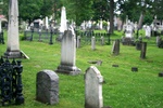 453.jpg 453.jpg