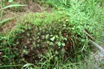 1990.jpg