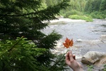 Fundy National Park