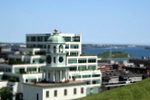 585.jpg