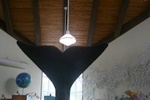 Exhibition inside