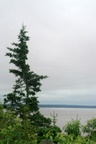 568.jpg
