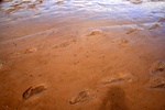 Ocean bottom