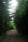 Hopewell Park during closing hours