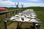 Drying fish Drying fish