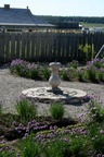 379.jpg 379.jpg