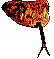 Up